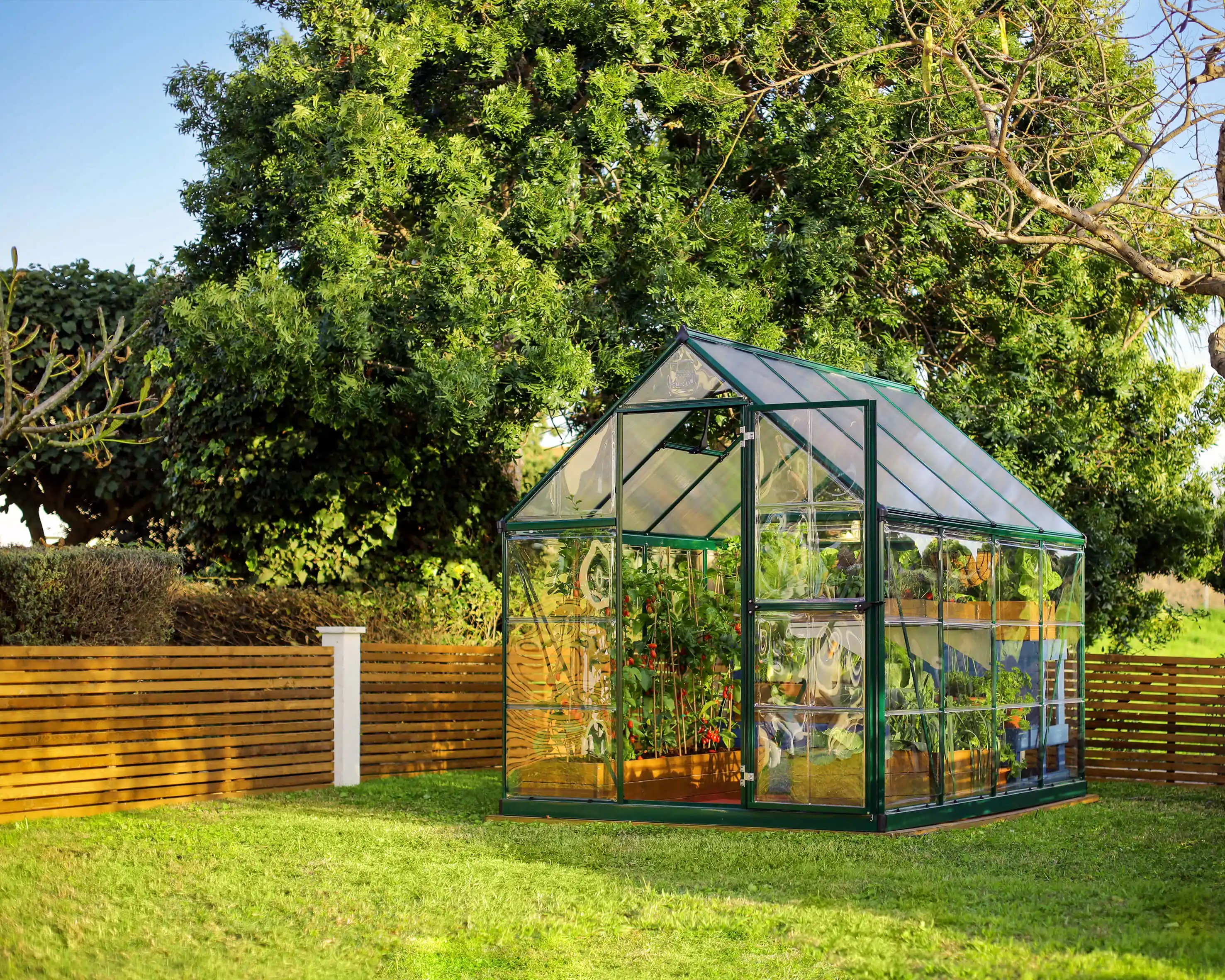 Canopia Hybrid 247X185X208 cm Tuinkas Groen