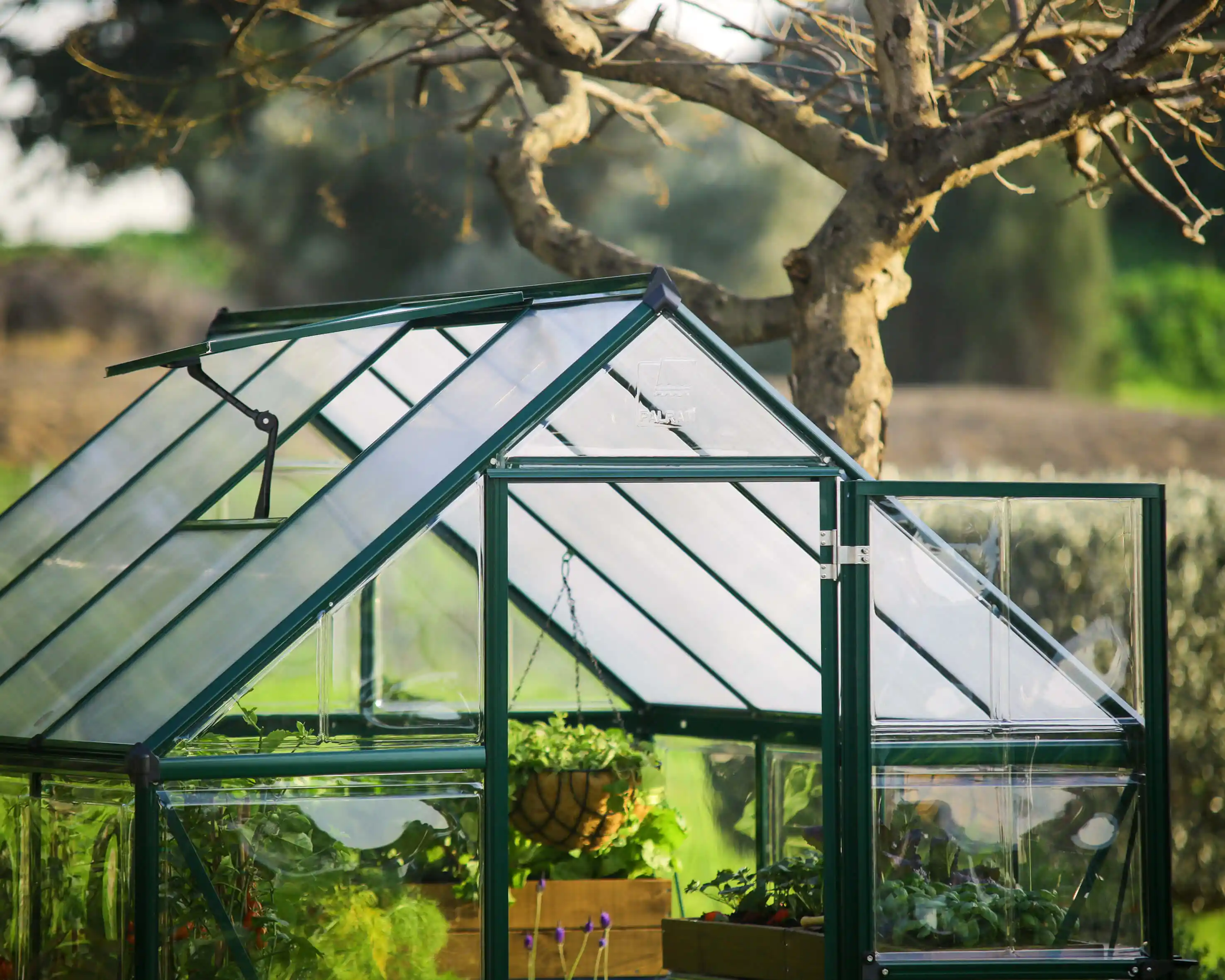 Canopia Hybrid 247X185X208 cm Tuinkas Groen