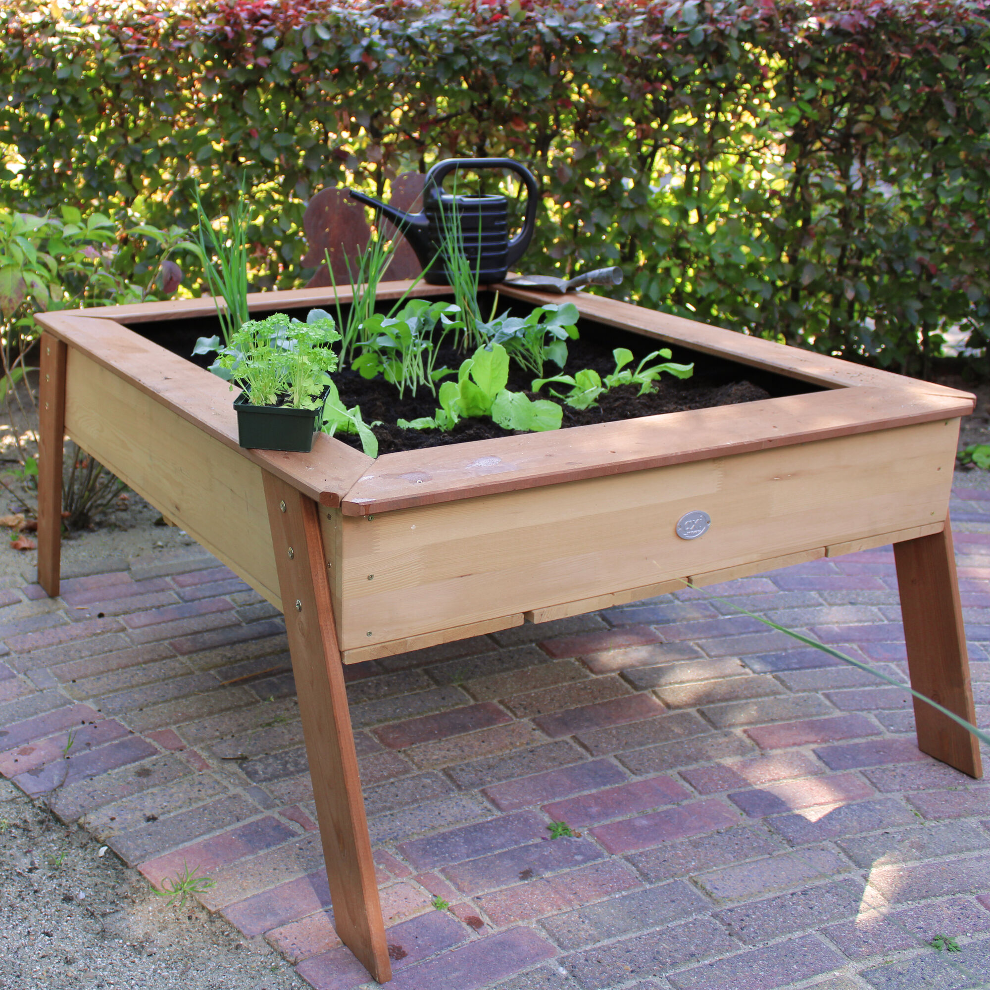 AXI Linda Zand & Kweektafel Bruin