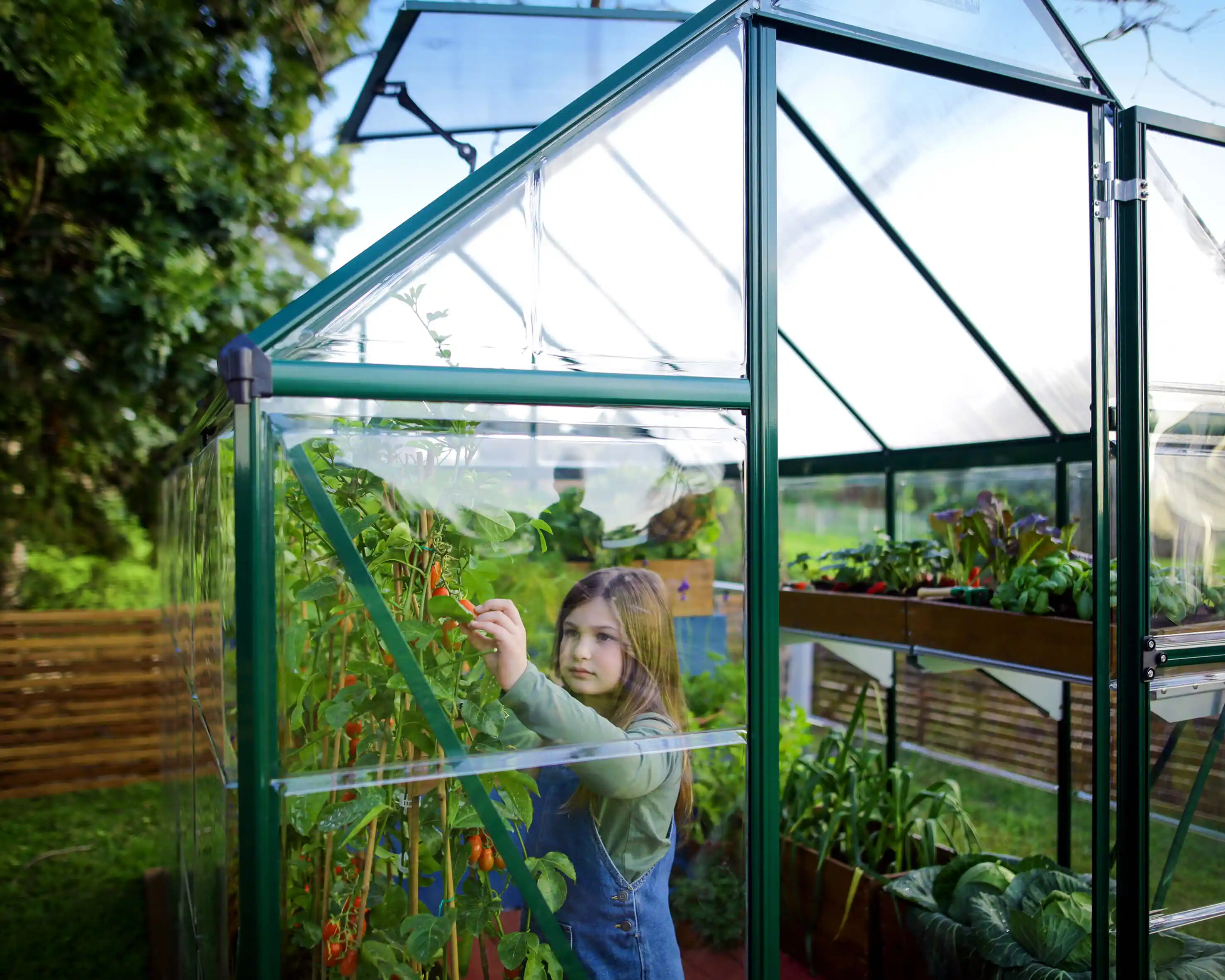 Canopia Hybrid 306X185X208 cm Tuinkas Groen-7290103110772 Canopia Hybrid 306X185X208 cm Tuinkas Groen