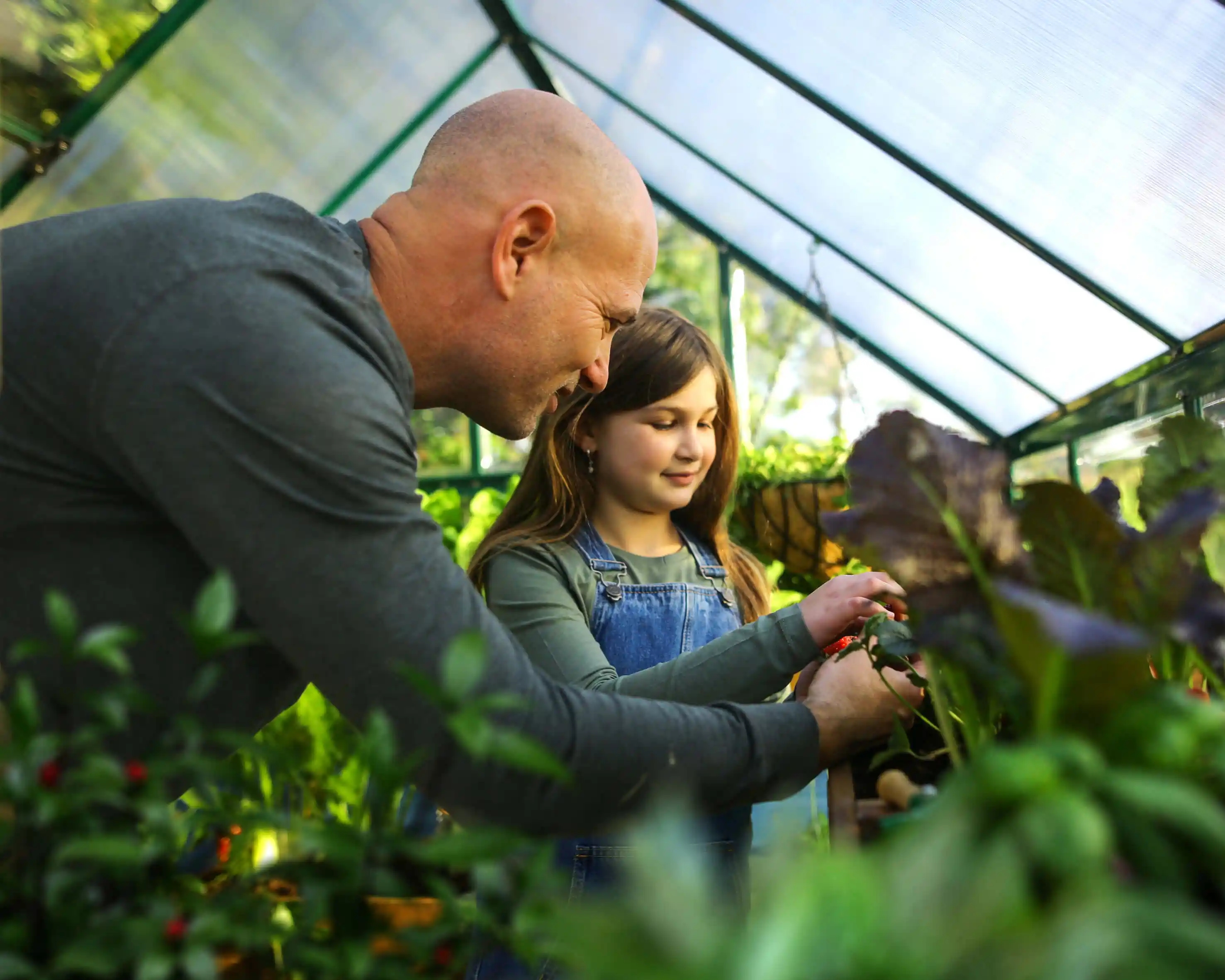 Canopia Hybrid 247X185X208 cm Tuinkas Groen