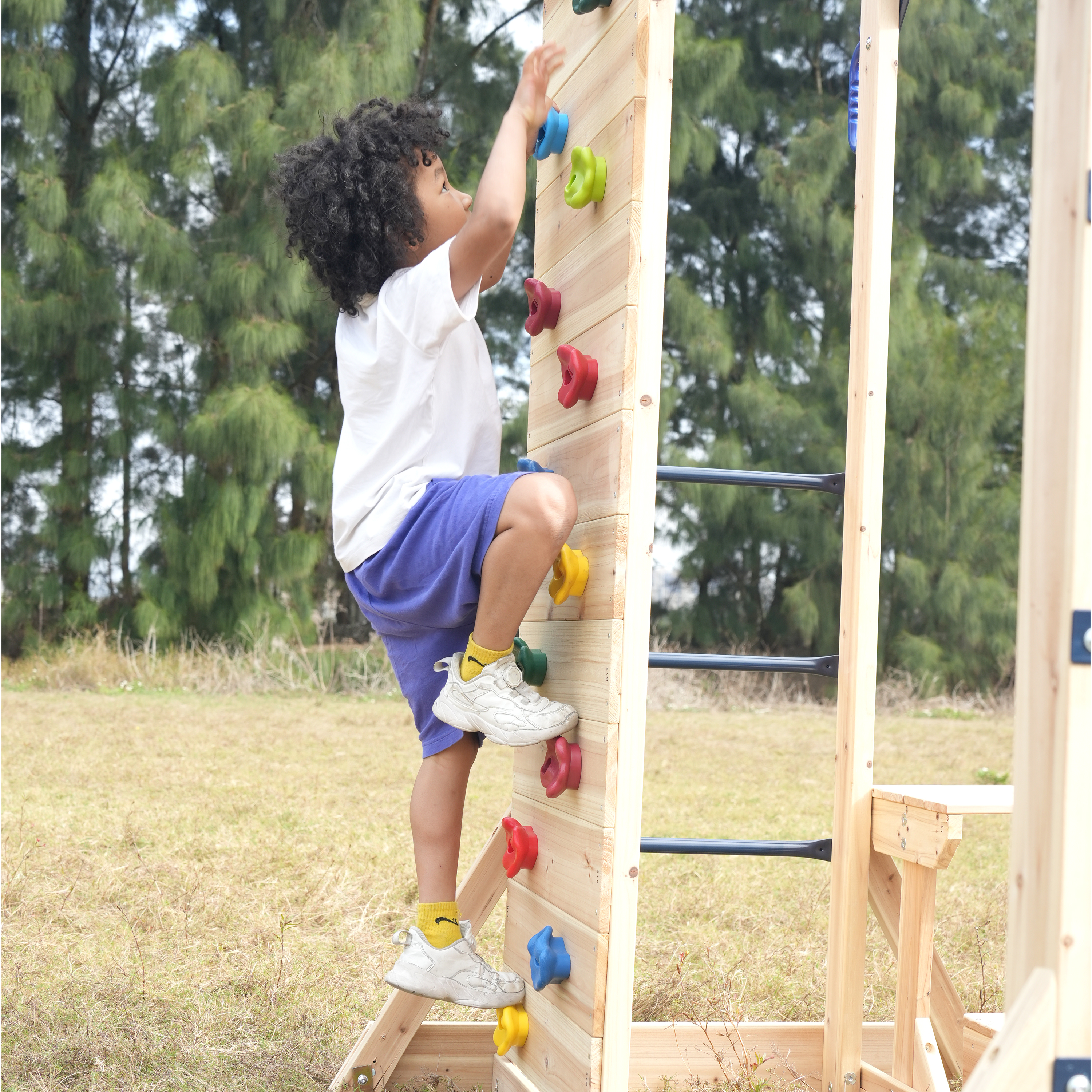 AXI Dex Climbing Frame with Sandbox, Monkey Bars and Picnic Table