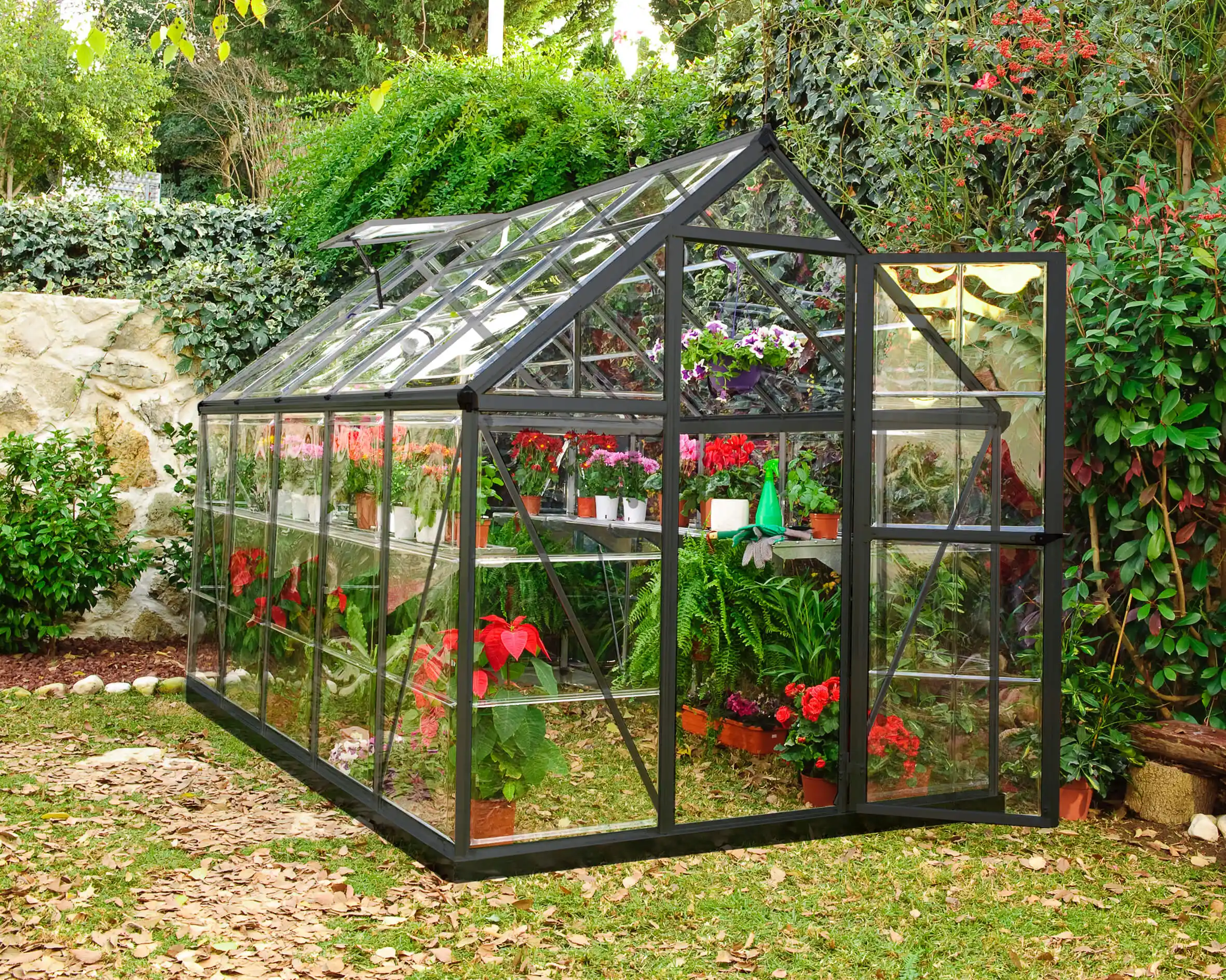 Canopia Harmony 306X185X208 cm Serre de jardin Verte transparente