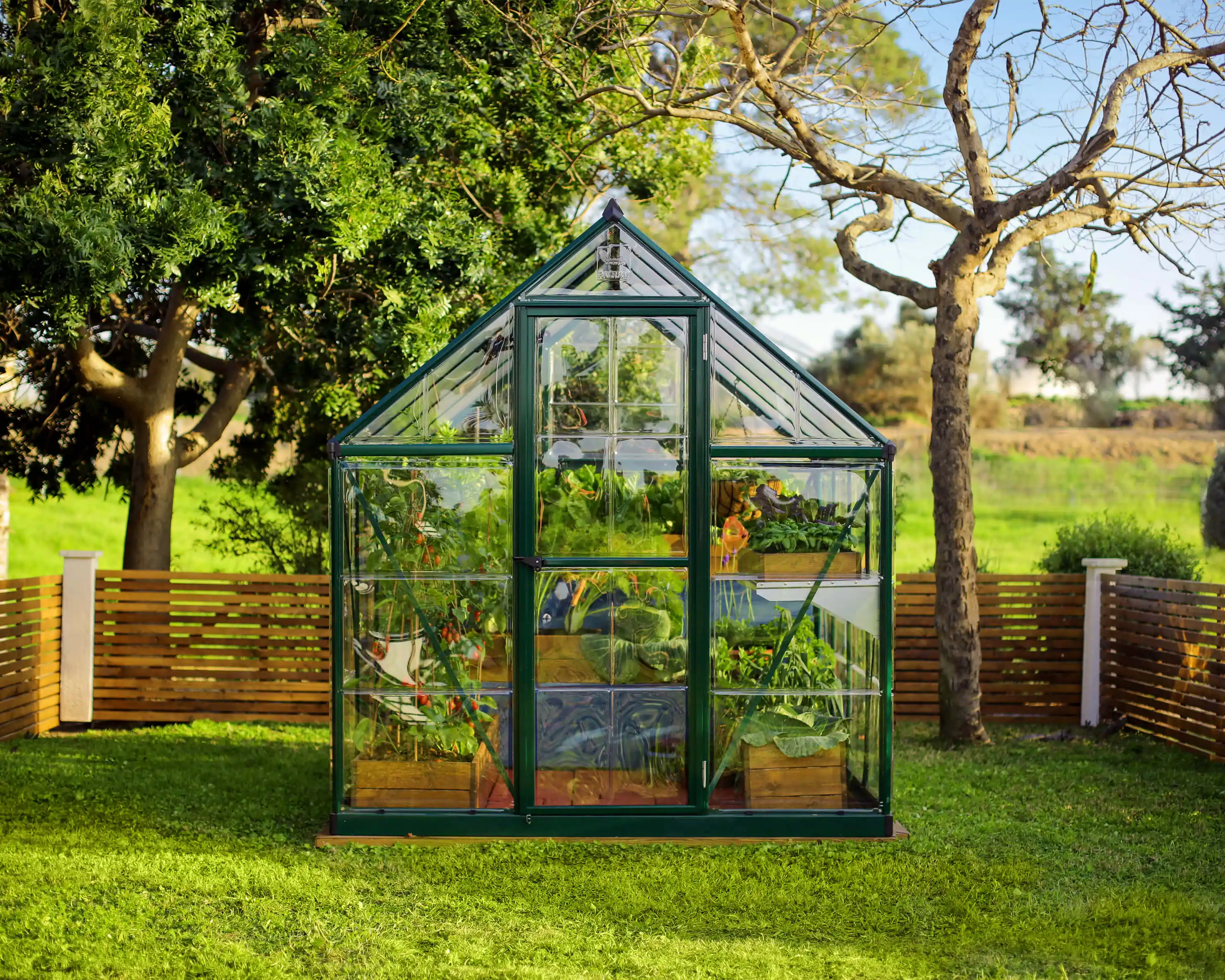 Canopia Hybrid 247X185X208 cm Serre de jardin Verte