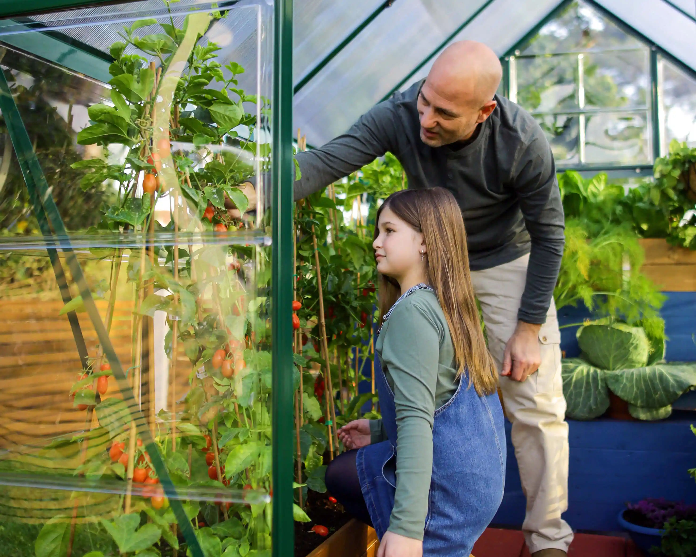 Canopia Hybrid 426X185X208 cm Tuinkas Groen