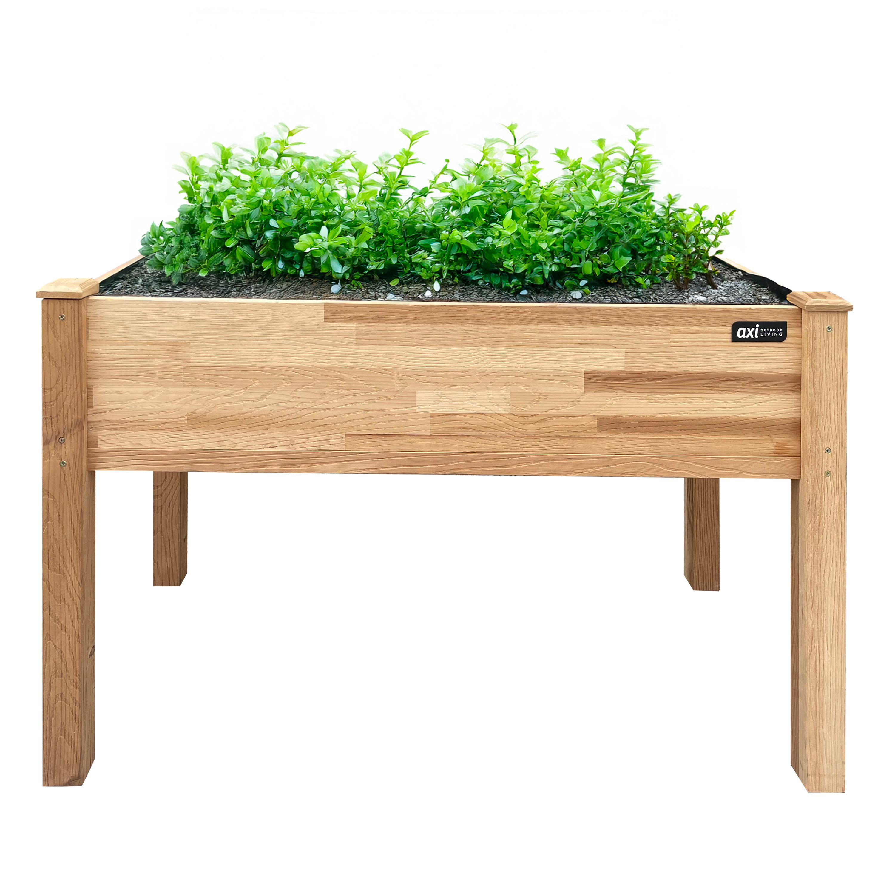 AXI Jardinière surélevée Marron