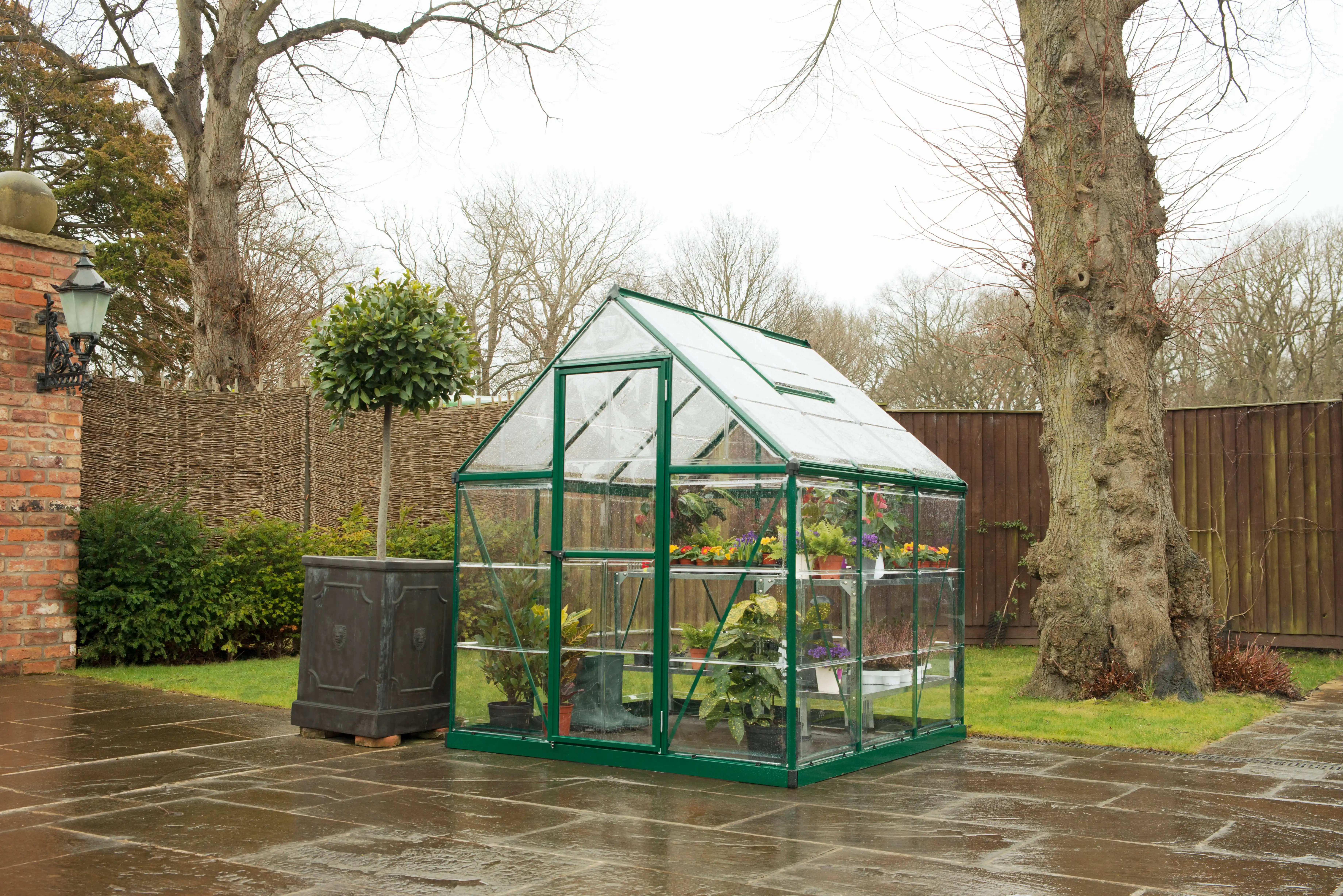 Canopia Harmony 186X185X208 cm Serre de jardin Verte transparente