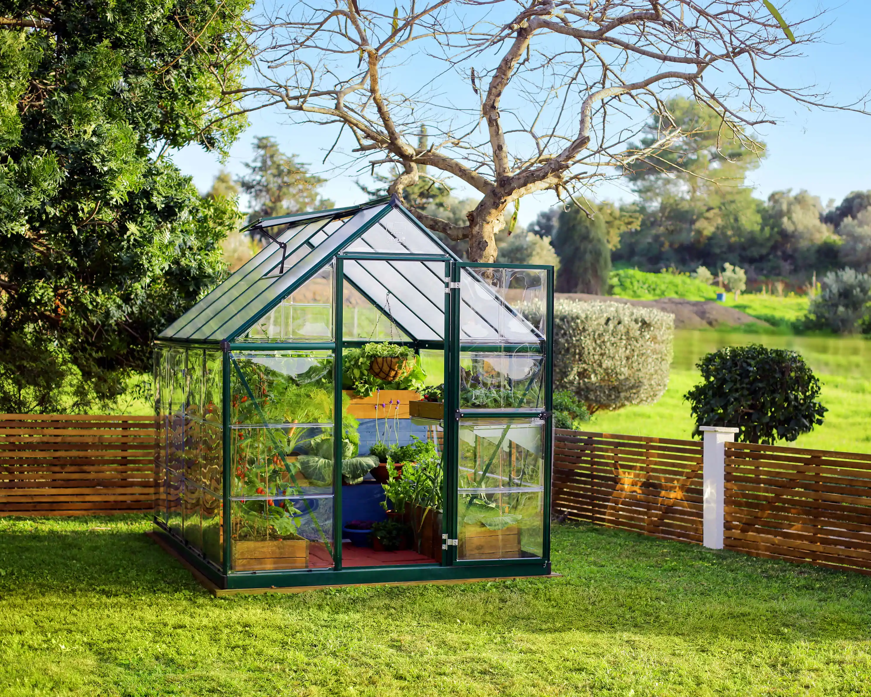 Canopia Hybrid 247X185X208 cm Serre de jardin Verte