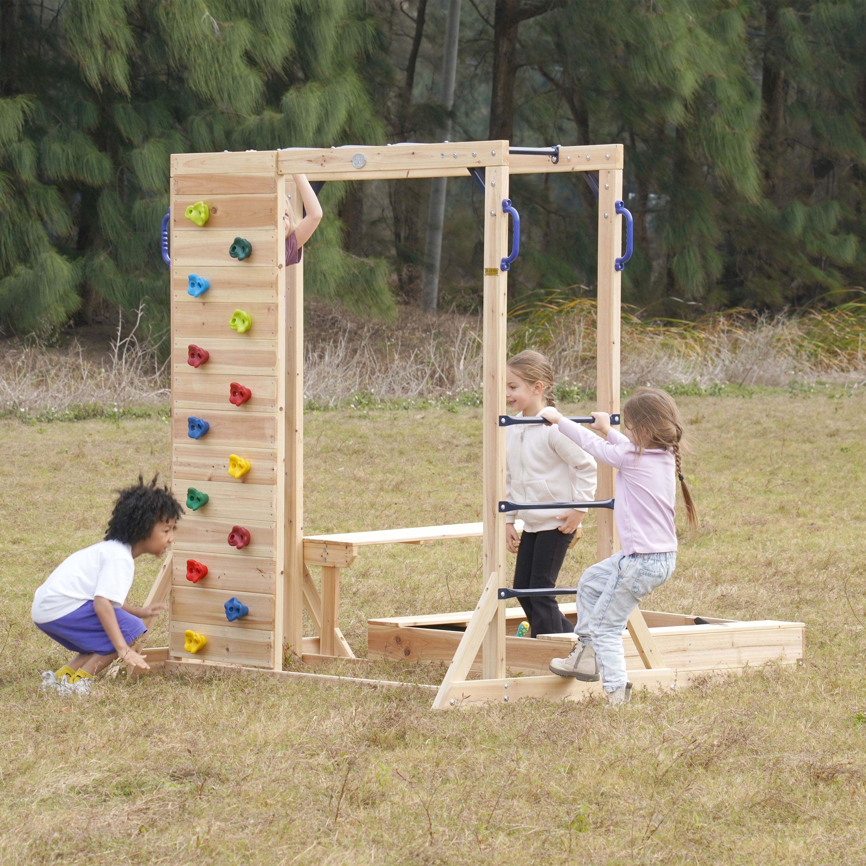 AXI Dex Climbing Frame with Sandbox, Monkey Bars and Picnic Table