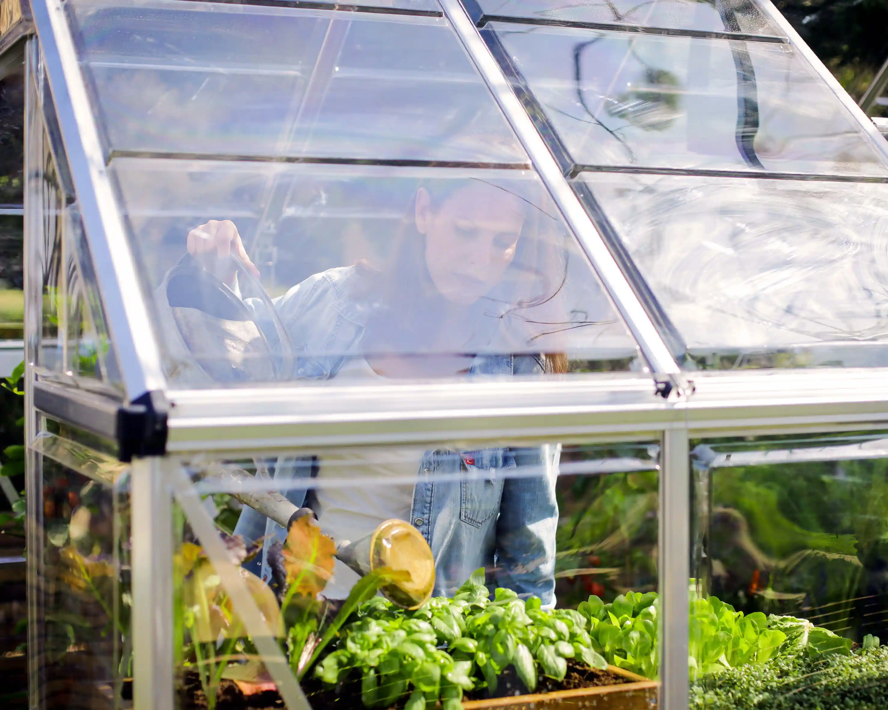 Canopia Hybrid 126X185X208 cm Tuinkas Zilver