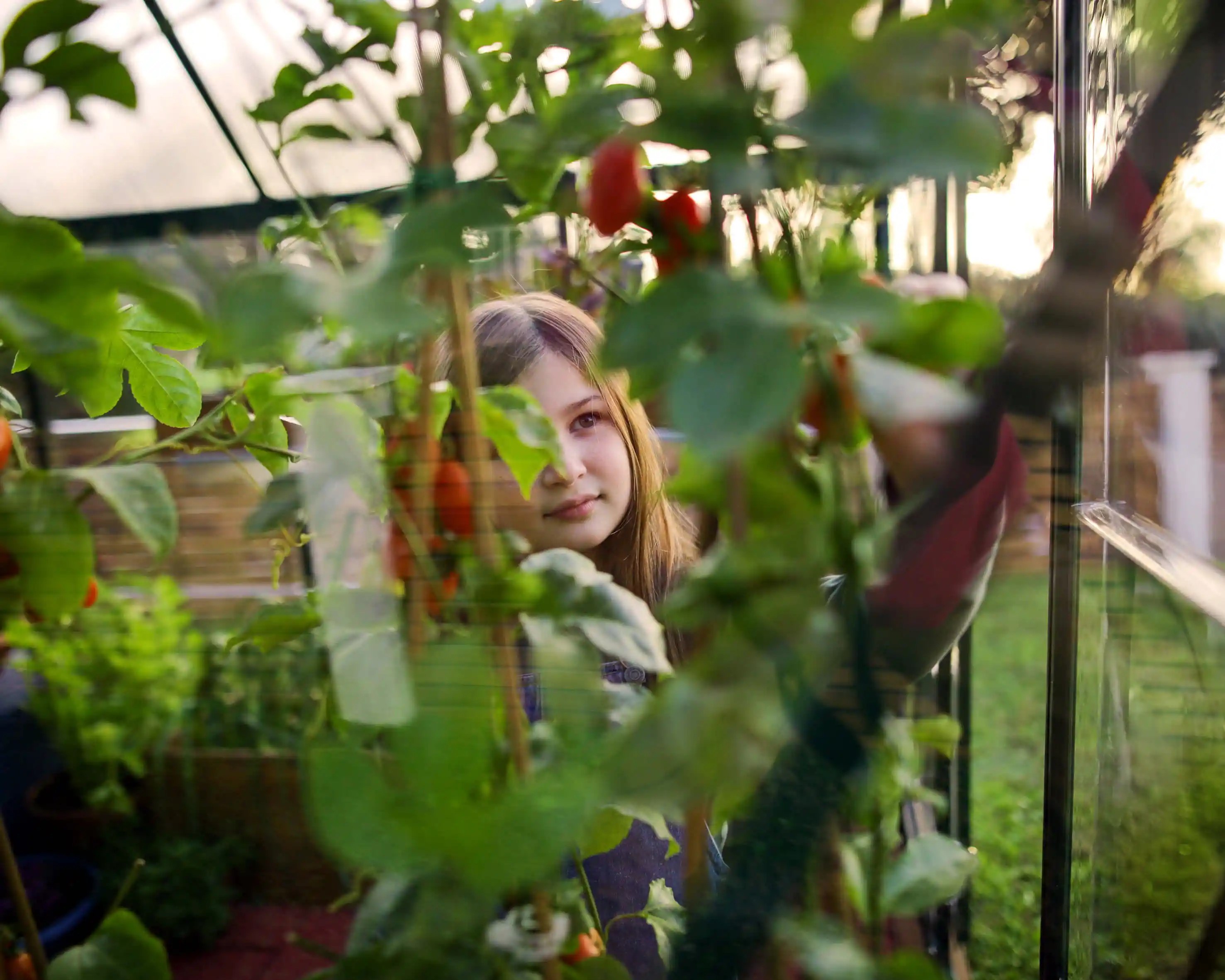 Canopia Hybrid 426X185X208 cm Tuinkas Groen