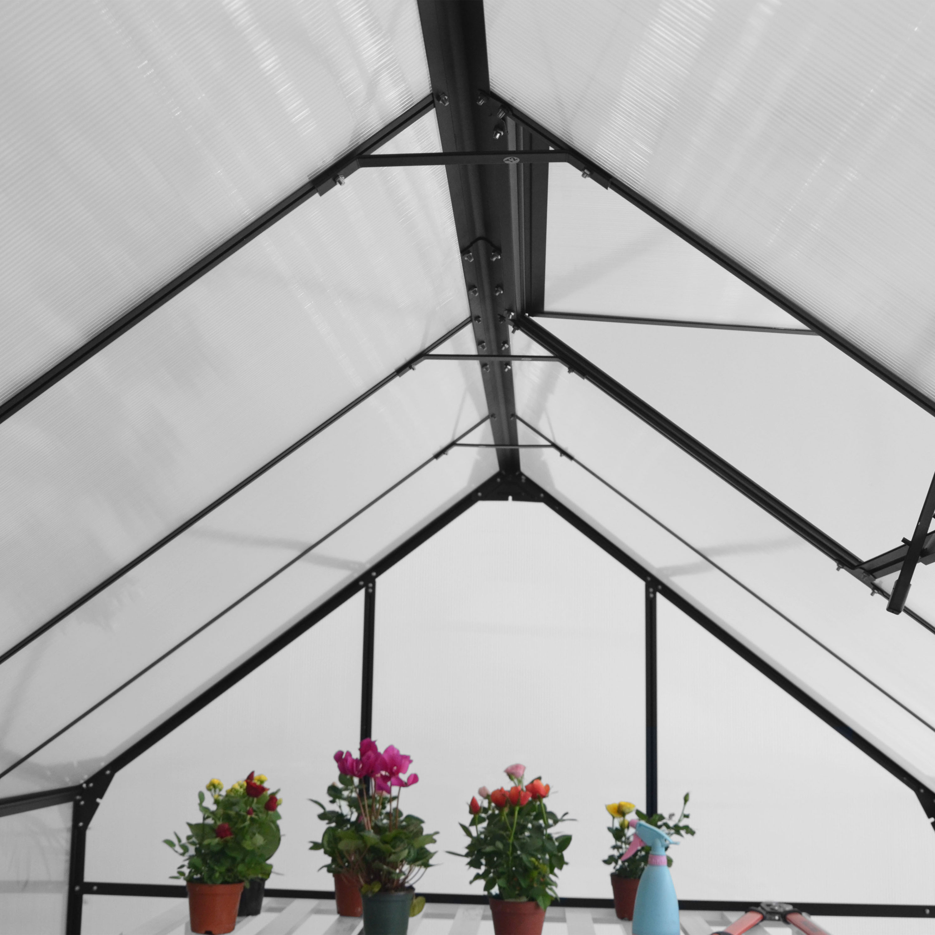 AXI Simon Greenhouse Polycarbonate - Black 250x190x207 cm