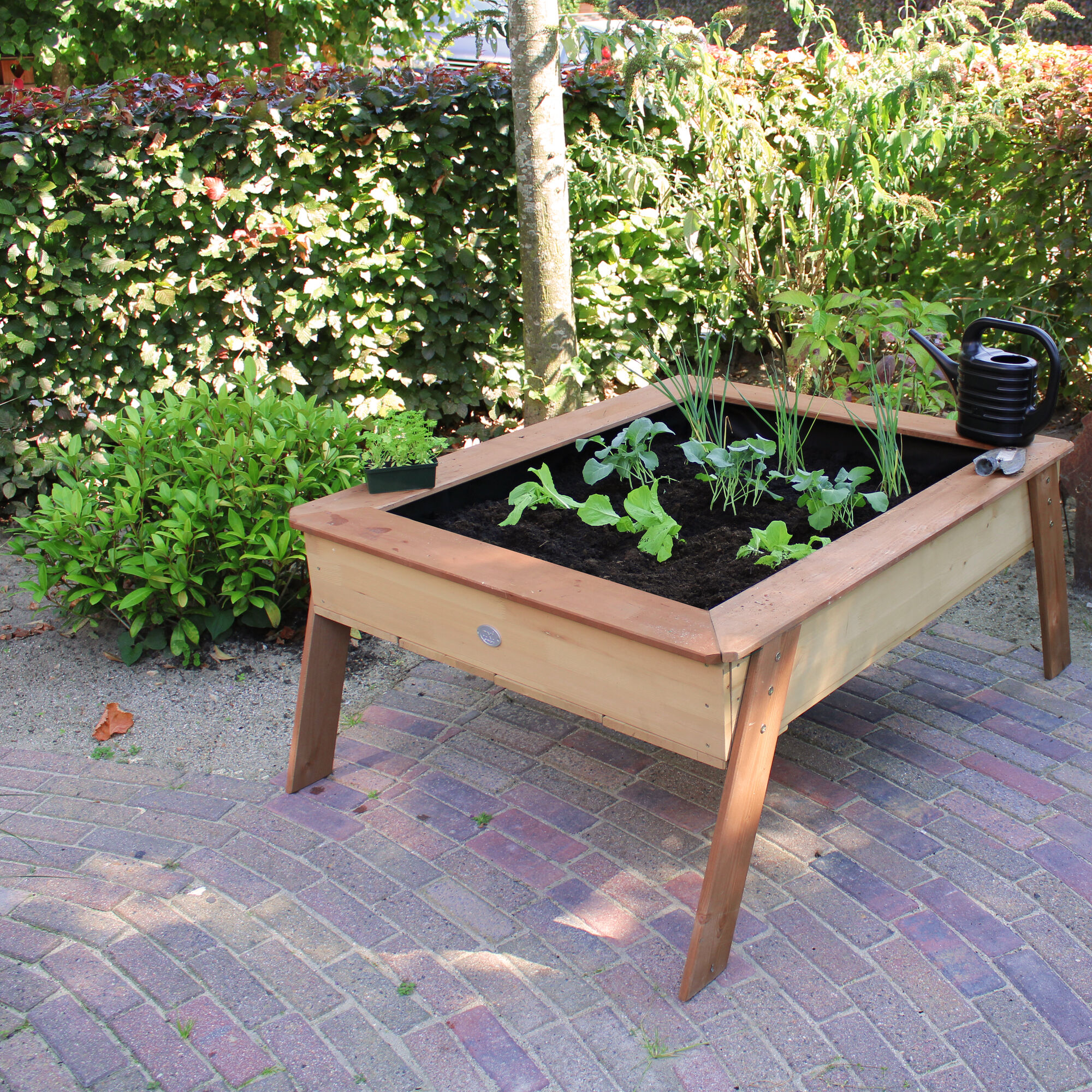 AXI Linda Zand & Kweektafel Bruin