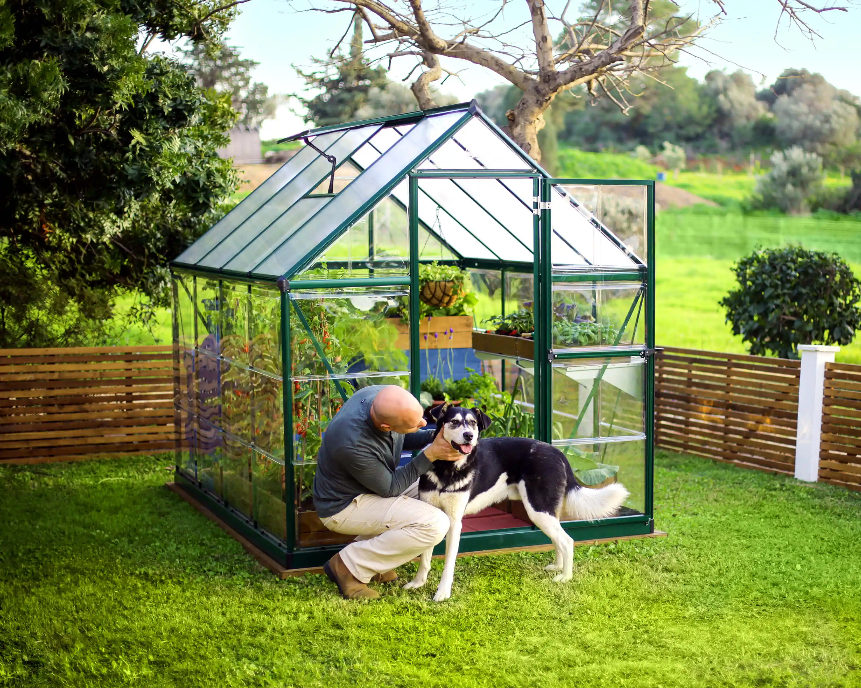 Canopia Hybrid 247X185X208 cm Tuinkas Groen