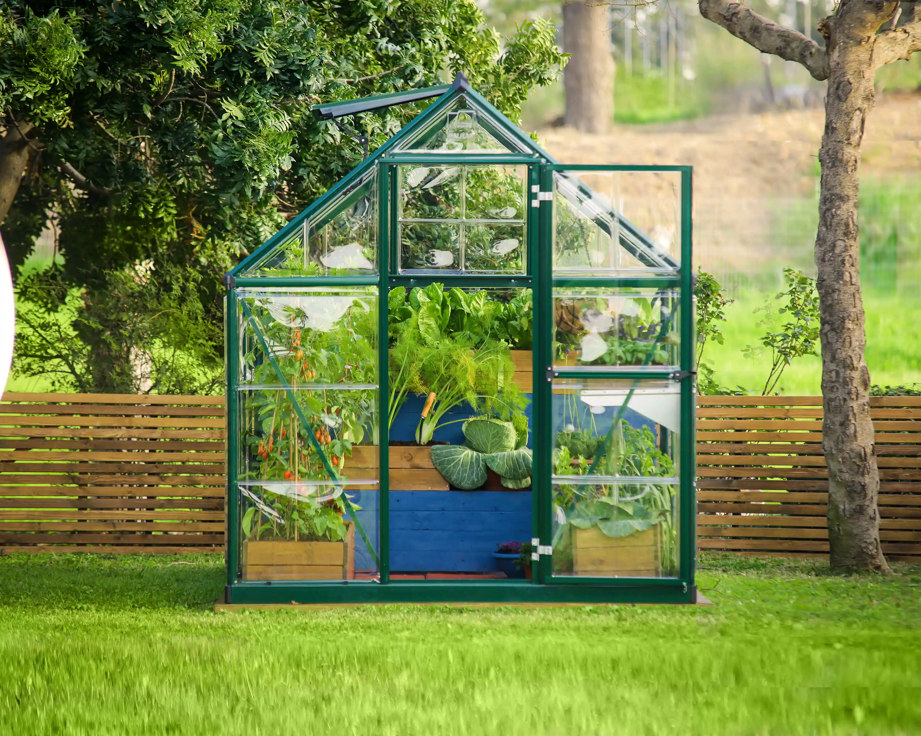 Canopia Hybrid 247X185X208 cm Serre de jardin Verte